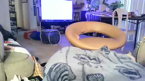 123loonymail online show from 03.04.26