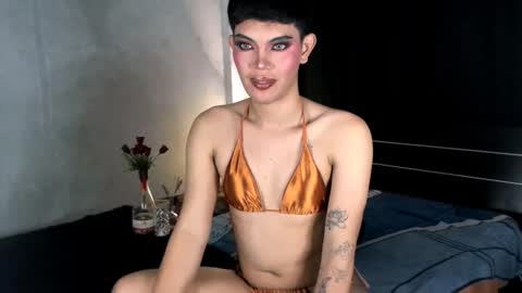 Leren online show from 01.01.25