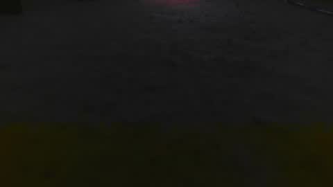 1337assman1337 online show from 11.25.25