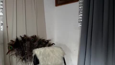 barbie online show from 02.08.26