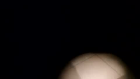 19761986 online show from 03.29.26
