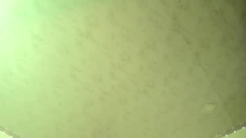 Adam and Venus online show from 03.08.25