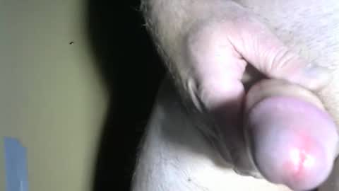 Snapshot of 1fourfishes chatting on 10.29.25 c2c Fun......Cum Watch n Play online show from 10.29.25