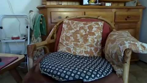 Guido online show from 07.14.26