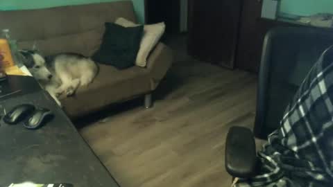 1handyanddee online show from 11.30.25