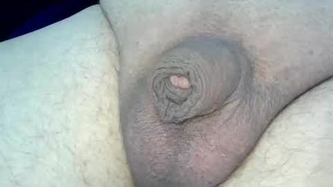 MICA online show from 01.31.26