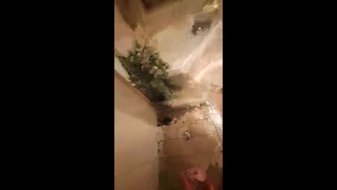 1naughtypapi online show from 06.05.26