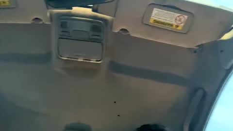 23havefunwitme online show from 02.17.25