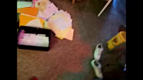 Steviesnickers online show from 01.15.26