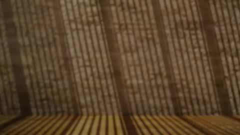 2hairrypigs online show from 04.24.26