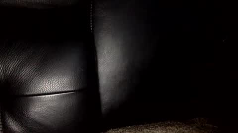 30nick online show from 01.10.26