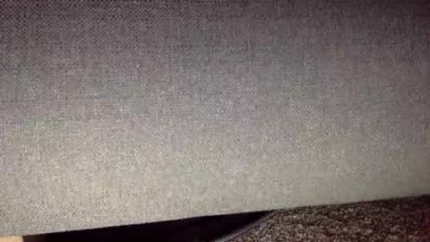 30nick online show from 04.13.26