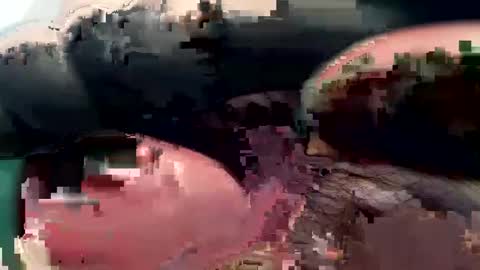 420_johnnystamina online show from 02.15.25