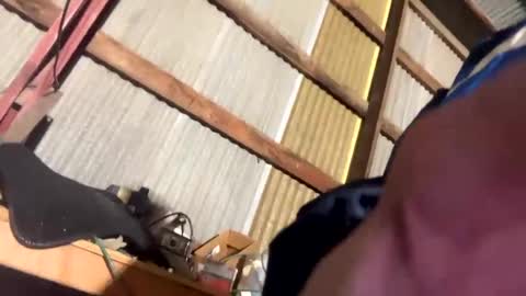 420danny online show from 02.24.25