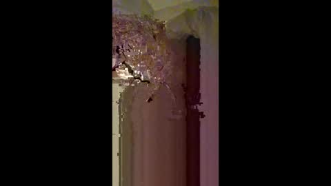 Zeus online show from 02.22.26