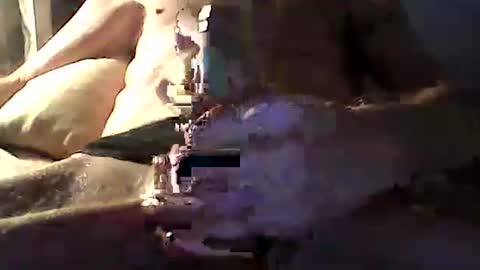 Zeus online show from 04.14.26