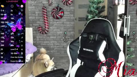 Snapshot of 666mia666 chatting on 12.23.24 Mia my pvt is open and lovense is active online show from 12.23.24