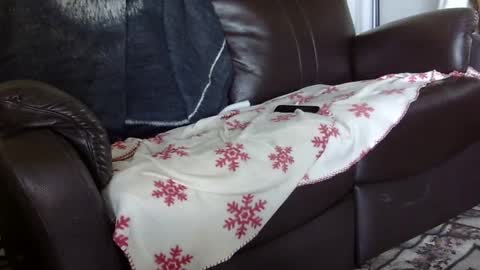 66bear online show from 10.04.25