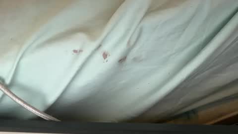 Snapshot of 69j0hndo chatting on 09.12.25 FUCKR online show from 09.12.25