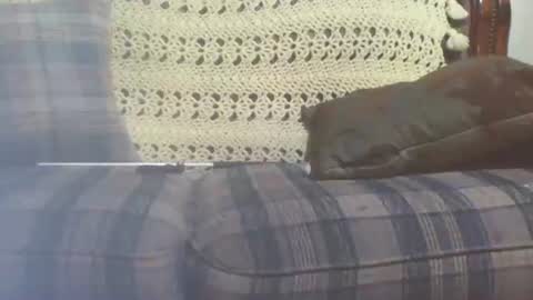 Snapshot of 69sextoyboy69 chatting on 01.25.25 69sextoyboy69 online show from 01.25.25