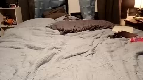 Snapshot of 7lairddip chatting on 02.15.26 7lairddip online show from 02.15.26