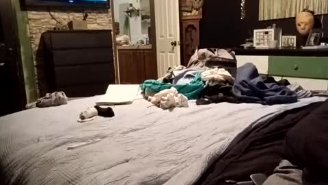 7lairddip online show from 04.04.26