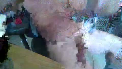 86406stud online show from 04.10.26