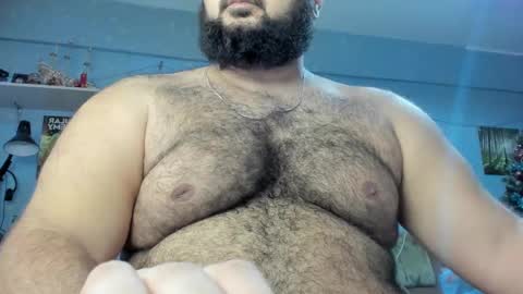 Snapshot of _alan_bear_ chatting on 01.17.25 Alan online show from 01.17.25