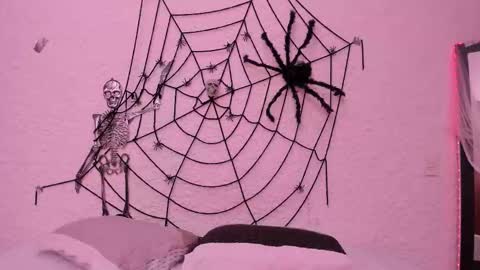 Alexander online show from 10.22.25