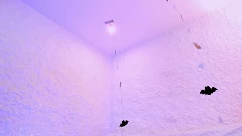 Alexander online show from 10.28.25