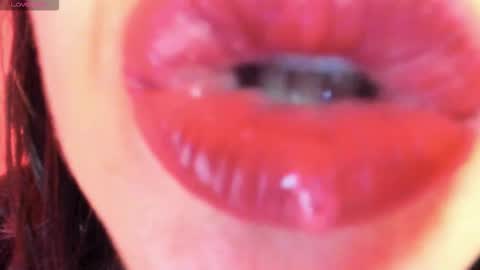 antonia online show from 11.11.25