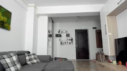 Ariana online show from 02.20.25