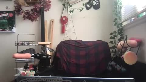 bandit online show from 12.26.24