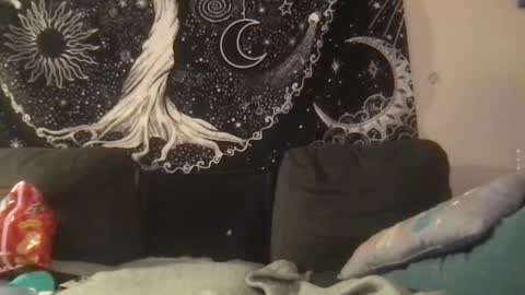 bandit online show from 02.01.25