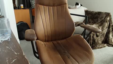 _black_lotus online show from 02.02.25