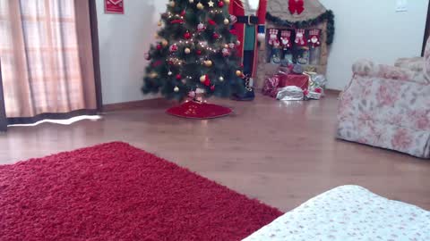 Snapshot of _candygirl20 chatting on 01.15.25 candygirl online show from 01.15.25