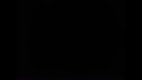 cat online show from 02.05.25