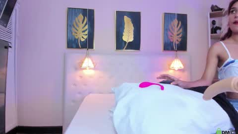 Snapshot of _cinnamon_star chatting on 09.24.25 _cinnamon_star online show from 09.24.25