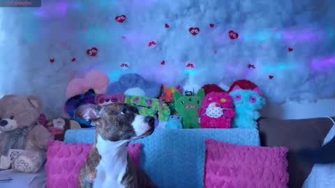 Kate online show from 03.07.26