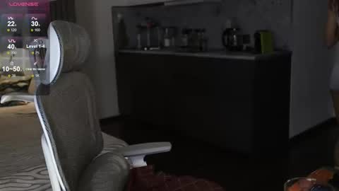 Snapshot of _guesswhat_ chatting on 11.05.25 Katarina online show from 11.05.25