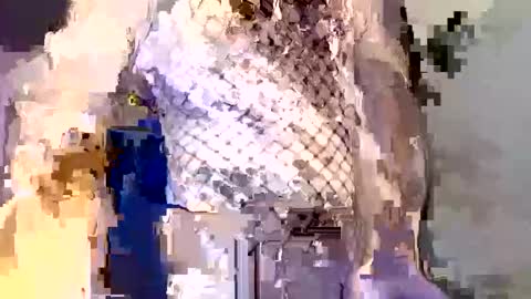  incocknito  online show from 12.16.25