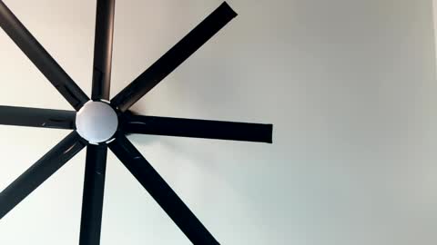 Snapshot of _littlewolfie_ chatting on 01.11.25 Little Wolfie online show from 01.11.25