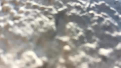 Snapshot of _littlewolfie_ chatting on 02.03.25 Little Wolfie online show from 02.03.25