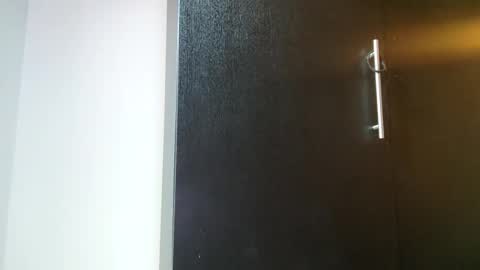 Snapshot of _lunaa__ chatting on 01.25.25 _lunaa__ online show from 01.25.25