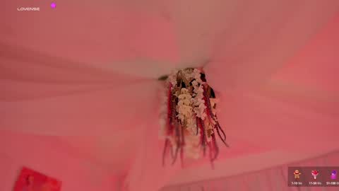       Telegram Channel channelofmers Subscribe schedule 600 am 1200 am Colombia time online show from 12.18.24