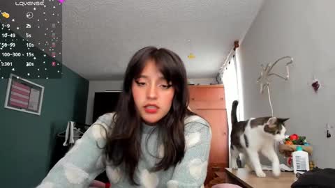 Next stream  950 pm Colombia time xd online show from 02.22.25