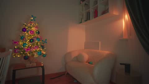 Snapshot of _protea chatting on 12.17.24 Eva online show from 12.17.24