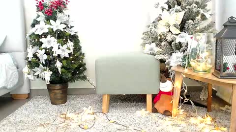 Sassy Girl online show from 12.26.24