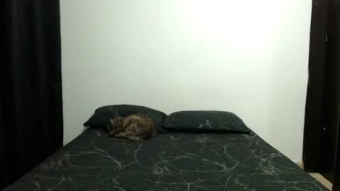 Sofia Parker online show from 11.10.25