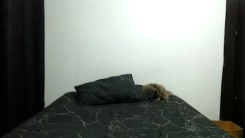 Sofia Parker online show from 11.13.25